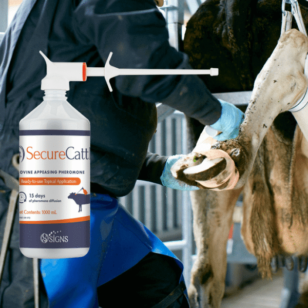 Secure Cattle 1L (rundvee) - Afbeelding 2