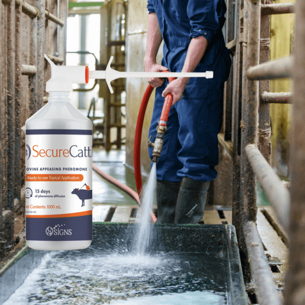 Secure Cattle 1L (rundvee) - Afbeelding 3