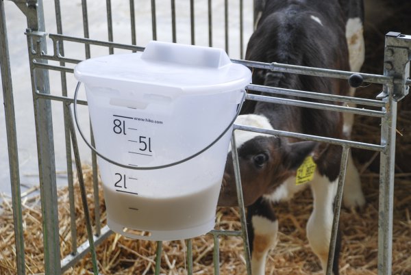 Weaning bucket transparent calf Hiko - Image 4